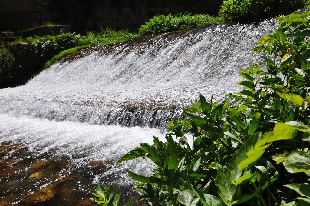 A Look Into The River Διαμέρισμα Avô Εξωτερικό φωτογραφία